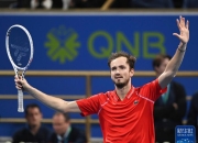 开云APP-德国网球队完胜欧洲网球队，梅德韦杰夫惊艳世界的简单介绍