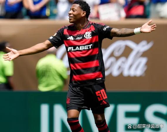 巴西足球联赛:弗拉门戈力压圣保罗夺冠的简单介绍 巴西足球联赛:弗拉门戈力压圣保罗夺冠的简单介绍