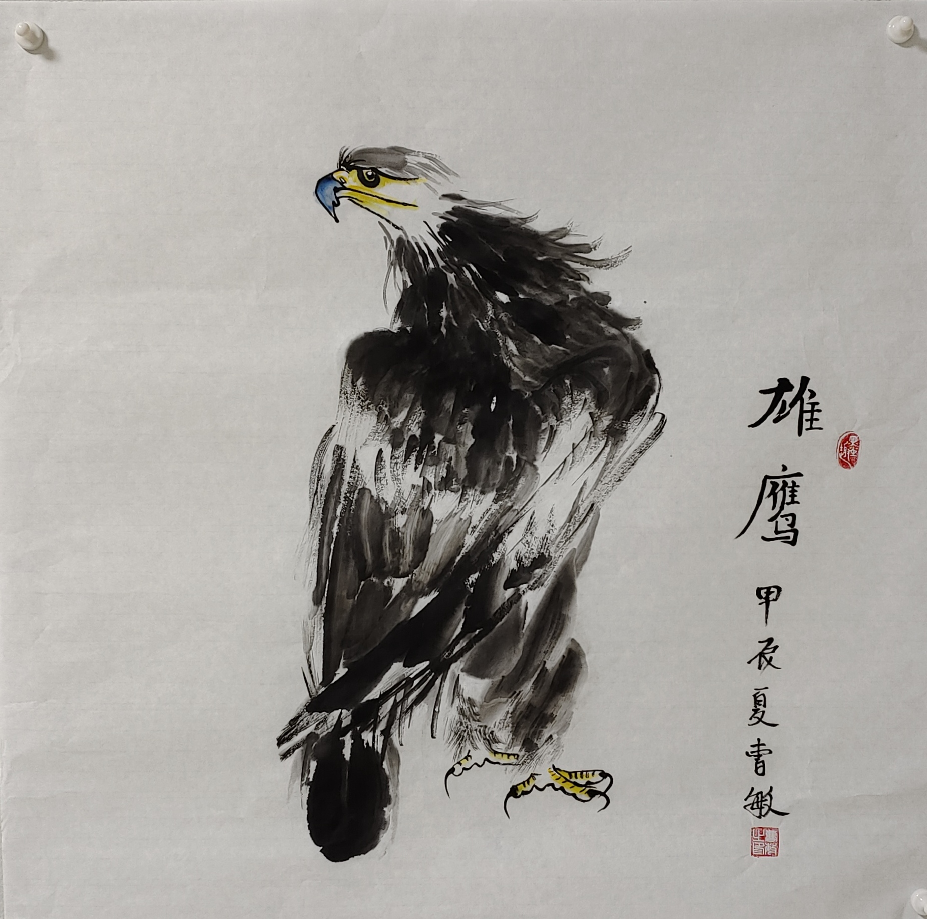 雄鸟未能击败老鹰,留下遗憾 雄鸟未能击败老鹰,留下遗憾