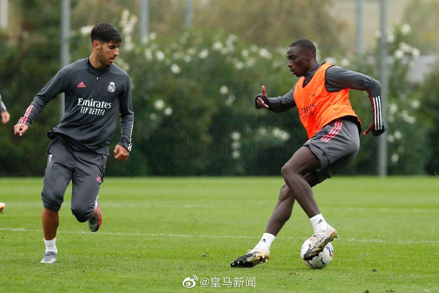 包含阿尔梅里亚全力争胜,全队士气高昂备战的词条 包含阿尔梅里亚全力争胜,全队士气高昂备战的词条