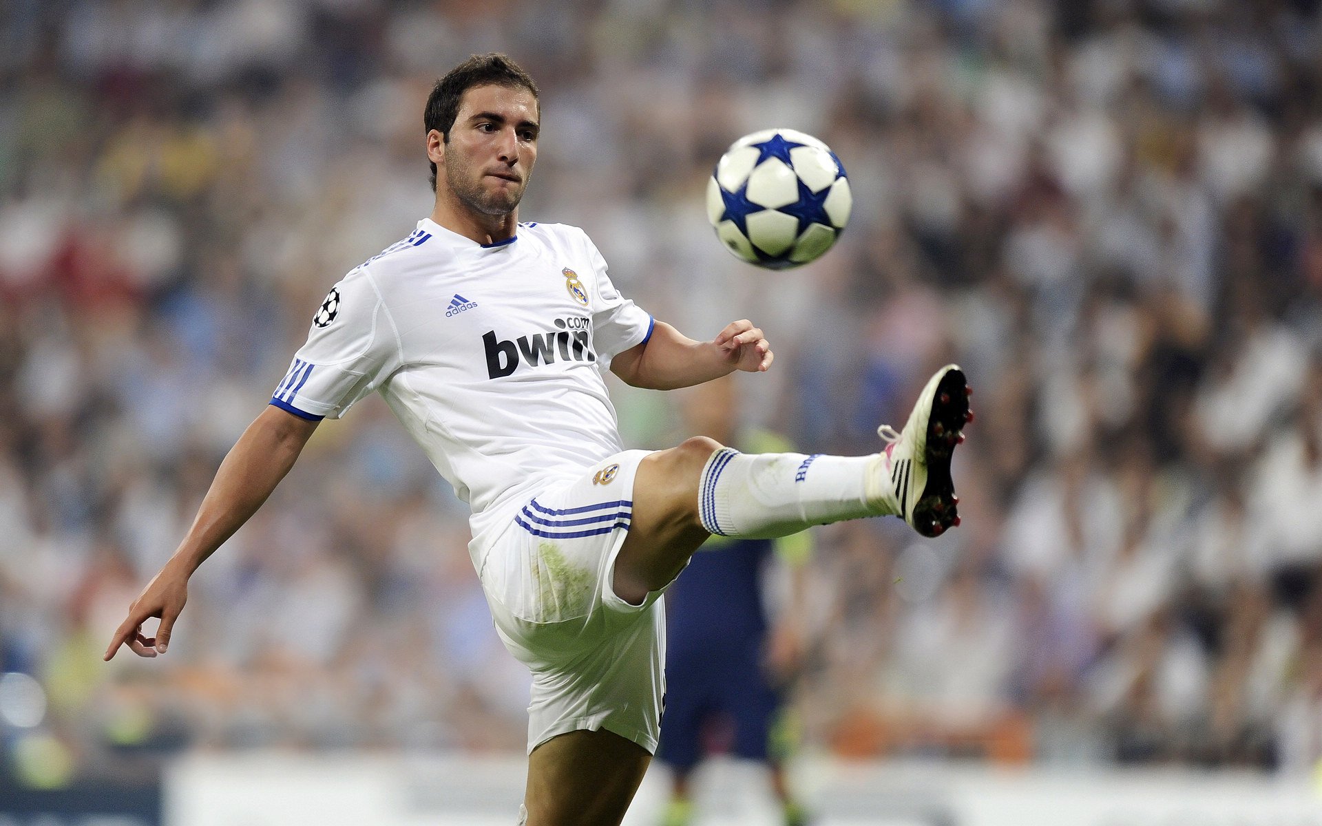 硬仗之王哈利伯顿的蜕变,黄蜂击败公牛背后的战术革命与领袖气质